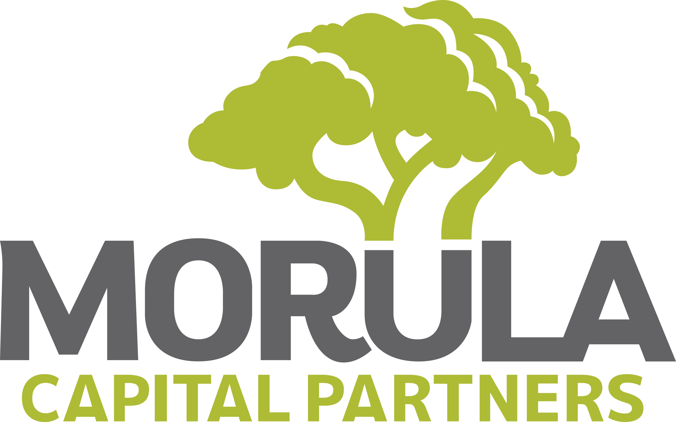 Morula Capital Partners